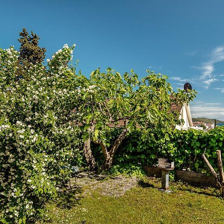 Green Garden Apartments Херцег-Нови Экстерьер фото