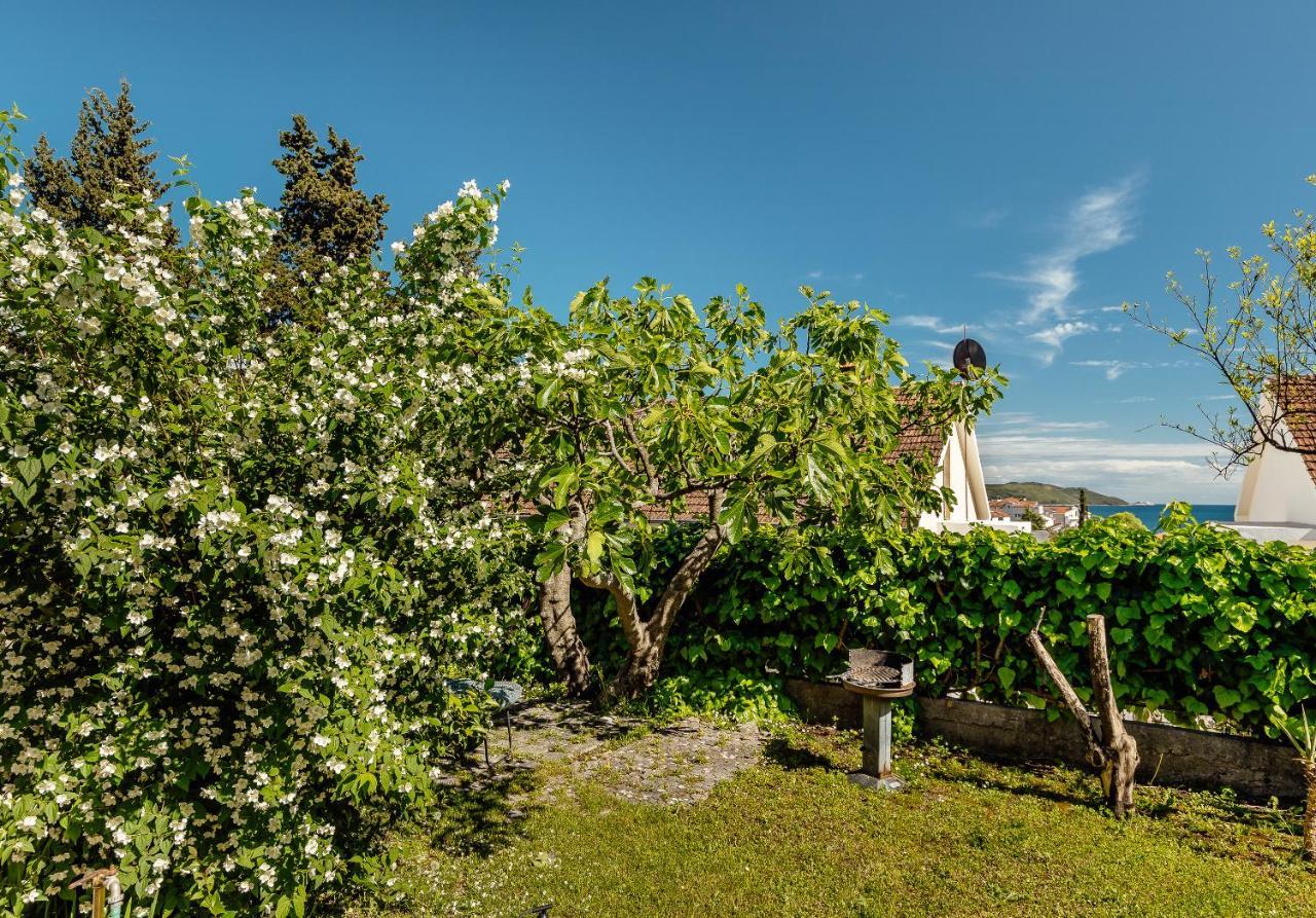 Green Garden Apartments Херцег-Нови Экстерьер фото